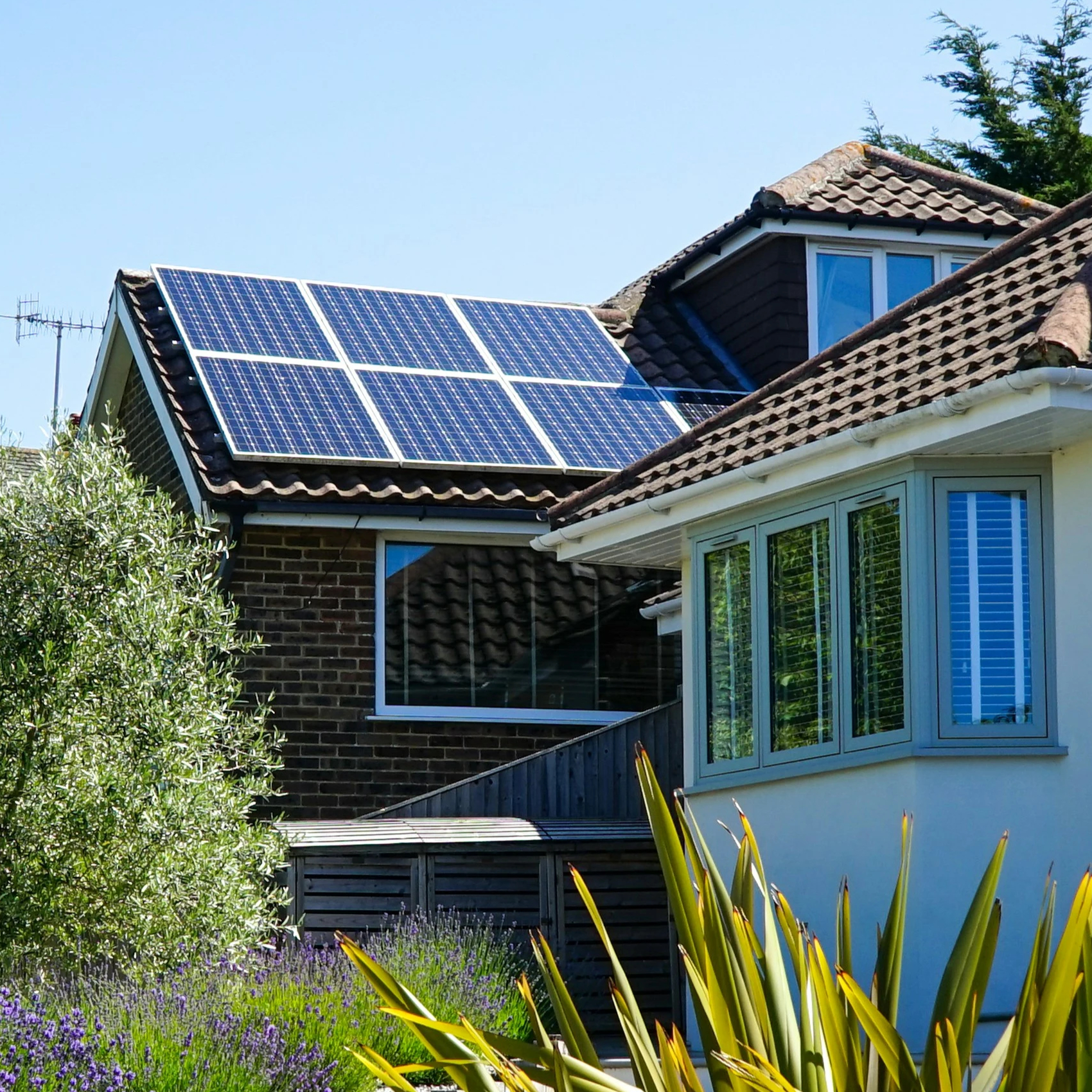 Häuser mit Solarpanels auf Dächern umgeben von grünen Gärten und Lavendel.