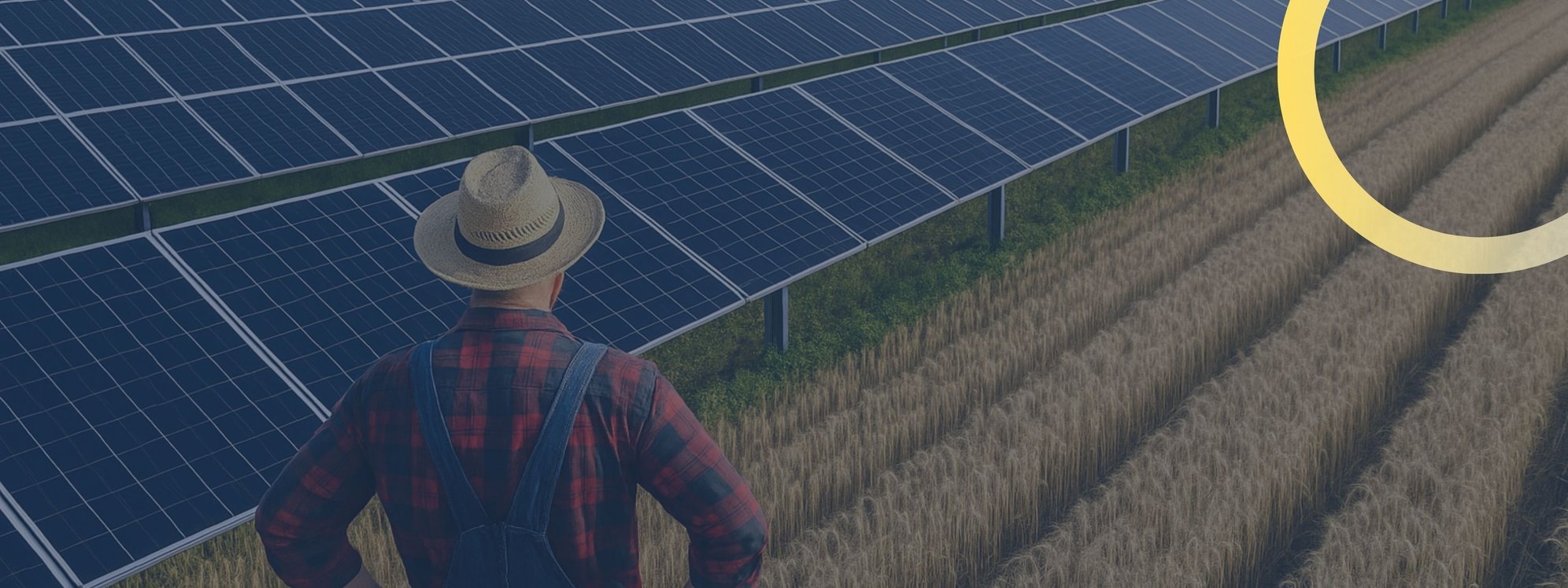 andwirt auf Getreidefeld mit Agri-Photovoltaikanlage – Drohnenaufnahme zeigt parallele Solarmodule über landwirtschaftlich genutzter Flächen