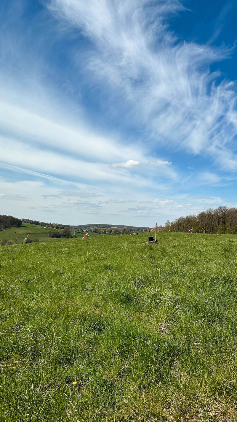 Solarpark Müschede Wiese