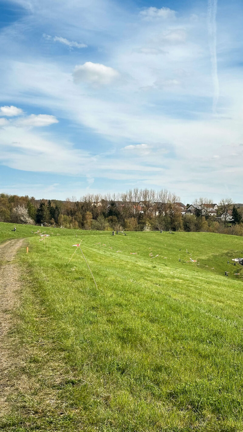 Solarpark Müschede Wiese