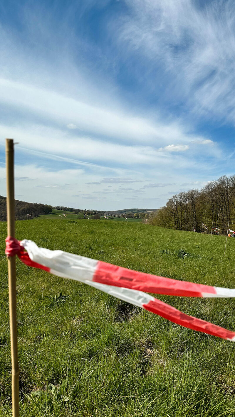 Solarpark Müschede Wiese