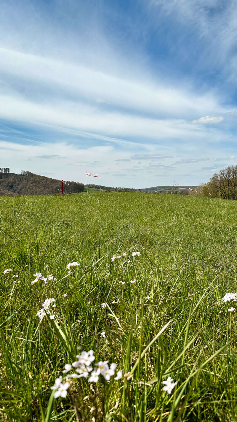 Solarpark Müschede Wiese
